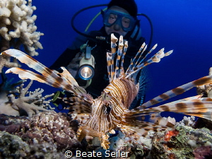 Lionfish with my Buddy in the back by Beate Seiler 
